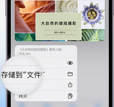 习水apple维修中心分享iPhone文件应用中存储和找到下载文件