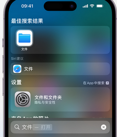 习水apple维修中心分享iPhone文件应用中存储和找到下载文件