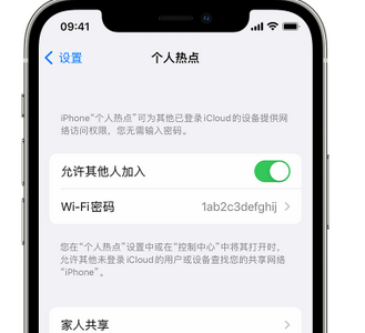 习水apple服务站点分享iPhone上个人热点丢失了怎么办 