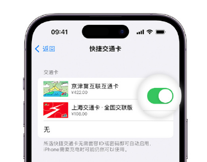 习水apple维修点分享iPhone上更换Apple Pay快捷交通卡手绘卡面 