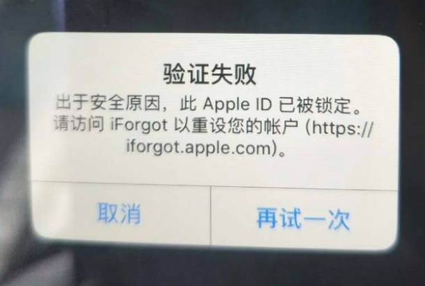 习水iPhone维修分享iPhone上正常登录或使用AppleID怎么办 