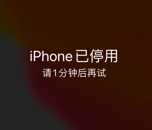 习水苹果手机维修分享:iPhone 显示“不可用”或“已停用”怎么办？还能保留数据吗？ 