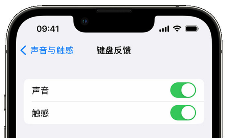 习水苹果手机维修分享iPhone 14触感键盘使用方法 