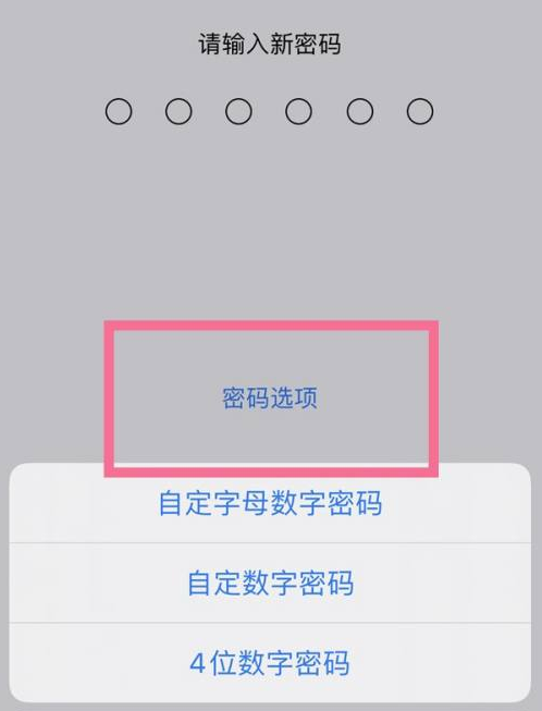 习水苹果14维修分享iPhone 14plus设置密码的方法 