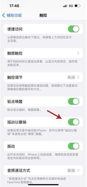 习水苹果手机维修分享iPhone手机如何设置摇一摇删除文字 